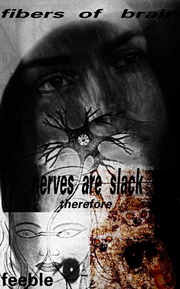 fiber.jpg (34140 bytes)