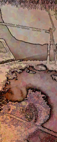 dot_clear.gif (807 bytes)